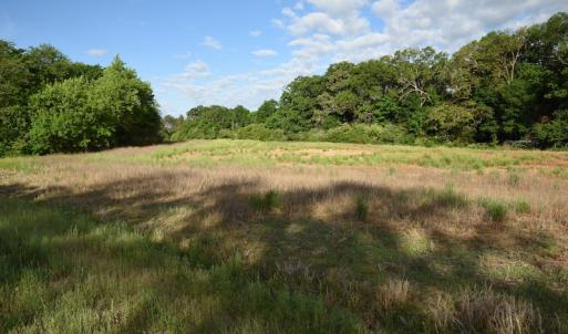 Photo #7 of SOLD property in Off Kiker Road, Peachland, NC 45.1 acres