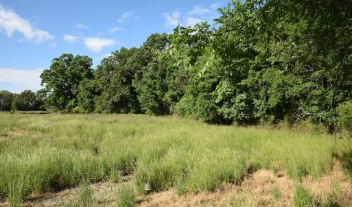 Photo #9 of SOLD property in Off Kiker Road, Peachland, NC 45.1 acres