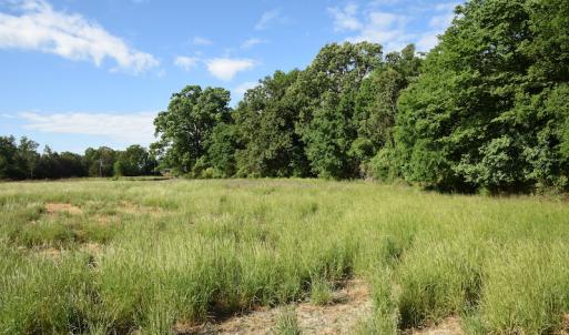 Photo #10 of SOLD property in Off Kiker Road, Peachland, NC 45.1 acres