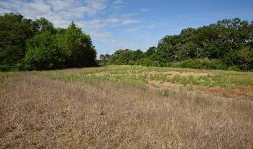 Photo #11 of SOLD property in Off Kiker Road, Peachland, NC 45.1 acres