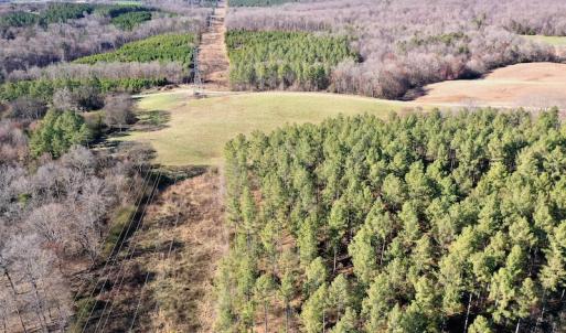 Photo #2 of SOLD property in Off Thomas Road, Polkton, NC 55.5 acres