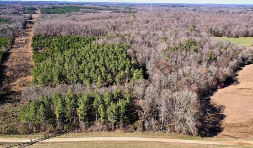 Photo #5 of SOLD property in Off Thomas Road, Polkton, NC 55.5 acres