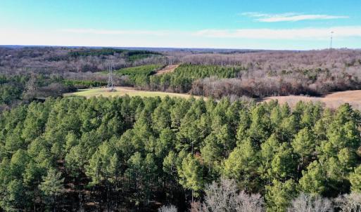 Photo #6 of SOLD property in Off Thomas Road, Polkton, NC 55.5 acres