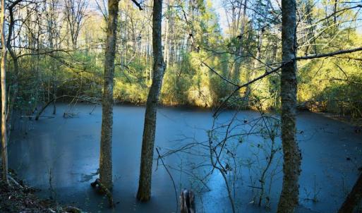 Photo #9 of SOLD property in Off Thomas Road, Polkton, NC 55.5 acres
