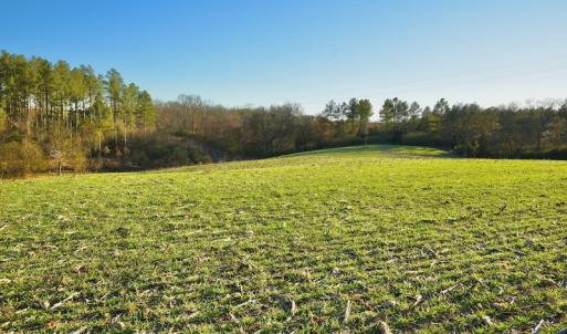 Photo #10 of SOLD property in Off Thomas Road, Polkton, NC 55.5 acres