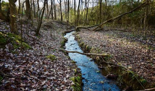 Photo #11 of SOLD property in Off Thomas Road, Polkton, NC 55.5 acres