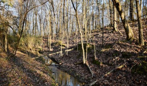 Photo #13 of SOLD property in Off Thomas Road, Polkton, NC 55.5 acres