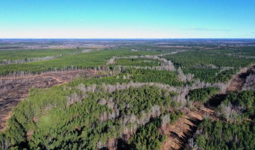 Photo #2 of SOLD property in Off NC Hwy 109 North, Wadesboro, NC 101.2 acres