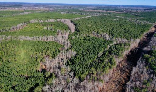 Photo #3 of SOLD property in Off NC Hwy 109 North, Wadesboro, NC 101.2 acres