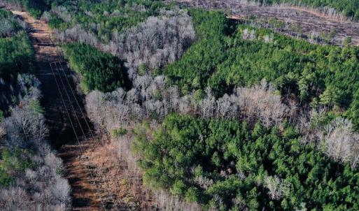Photo #5 of SOLD property in Off NC Hwy 109 North, Wadesboro, NC 101.2 acres