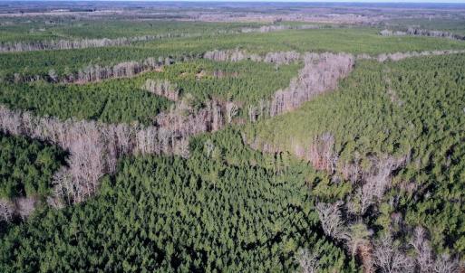 Photo #6 of SOLD property in Off NC Hwy 109 North, Wadesboro, NC 101.2 acres