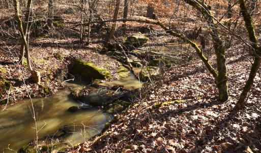 Photo #7 of SOLD property in Off NC Hwy 109 North, Wadesboro, NC 101.2 acres