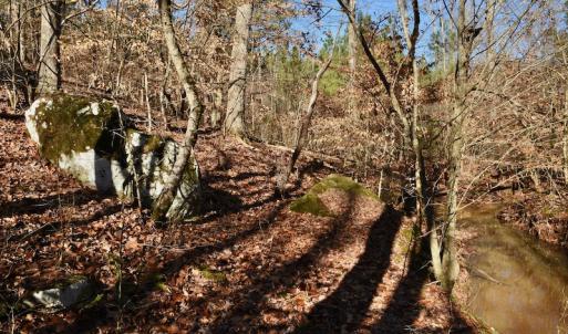 Photo #8 of SOLD property in Off NC Hwy 109 North, Wadesboro, NC 101.2 acres