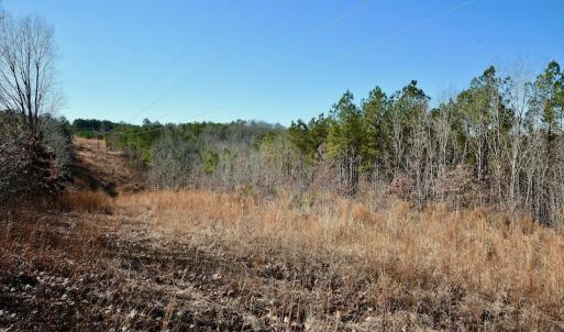 Photo #9 of SOLD property in Off NC Hwy 109 North, Wadesboro, NC 101.2 acres