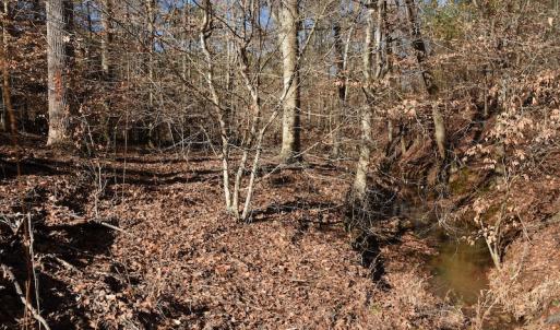 Photo #10 of SOLD property in Off NC Hwy 109 North, Wadesboro, NC 101.2 acres