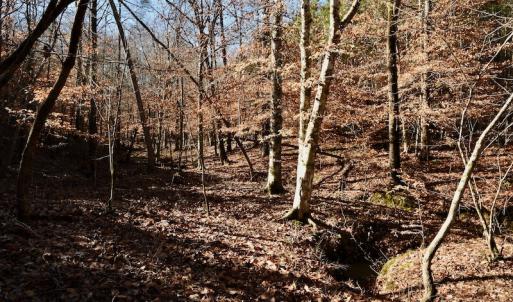 Photo #11 of SOLD property in Off NC Hwy 109 North, Wadesboro, NC 101.2 acres