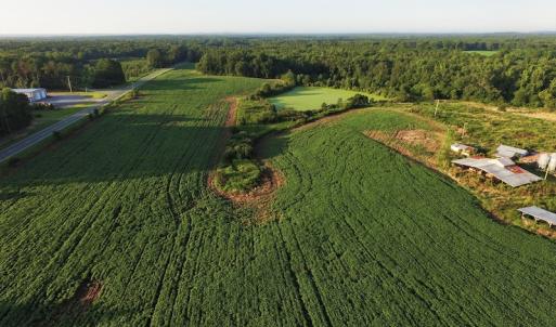 Photo #2 of SOLD property in 135 Jack's Branch Rd and Off US Hwy 52 N, Wadesboro, NC 125.5 acres
