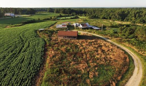 Photo #3 of SOLD property in 135 Jack's Branch Rd and Off US Hwy 52 N, Wadesboro, NC 125.5 acres