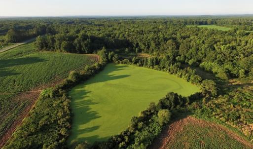 Photo #4 of SOLD property in 135 Jack's Branch Rd and Off US Hwy 52 N, Wadesboro, NC 125.5 acres