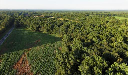 Photo #5 of SOLD property in 135 Jack's Branch Rd and Off US Hwy 52 N, Wadesboro, NC 125.5 acres