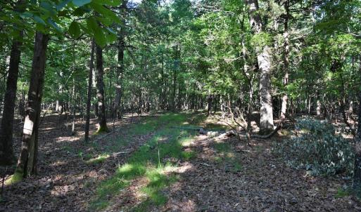 Photo #5 of SOLD property in 8399 Mt. Pleasant Road, Midland, NC 102.0 acres