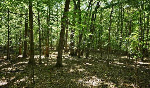 Photo #7 of SOLD property in 8399 Mt. Pleasant Road, Midland, NC 102.0 acres