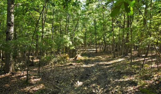 Photo #8 of SOLD property in 8399 Mt. Pleasant Road, Midland, NC 102.0 acres