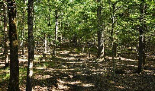 Photo #9 of SOLD property in 8399 Mt. Pleasant Road, Midland, NC 102.0 acres