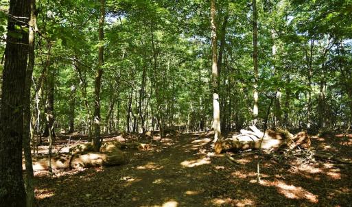 Photo #10 of SOLD property in 8399 Mt. Pleasant Road, Midland, NC 102.0 acres