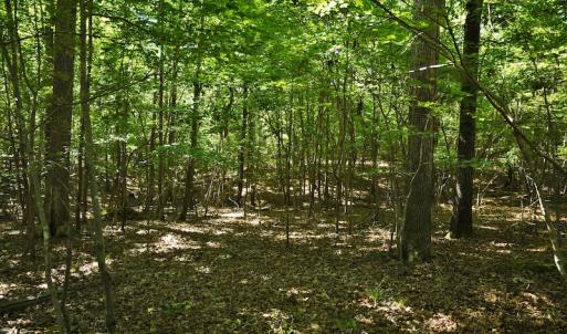 Photo #11 of SOLD property in 8399 Mt. Pleasant Road, Midland, NC 102.0 acres