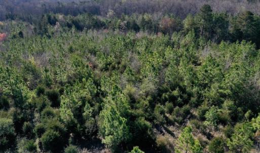 Photo #3 of SOLD property in Off Weavil Road, Winston Salem, NC 24.7 acres