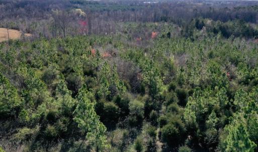 Photo #4 of SOLD property in Off Weavil Road, Winston Salem, NC 24.7 acres