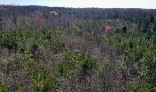 Photo #5 of SOLD property in Off Weavil Road, Winston Salem, NC 24.7 acres