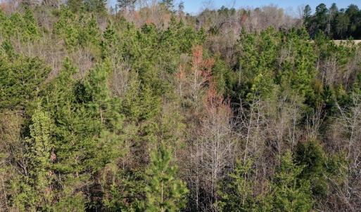 Photo #6 of SOLD property in Off Weavil Road, Winston Salem, NC 24.7 acres