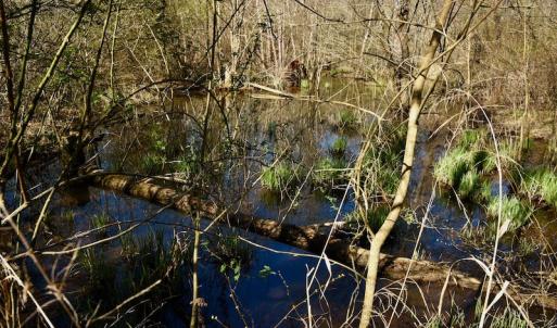 Photo #8 of SOLD property in Off Weavil Road, Winston Salem, NC 24.7 acres