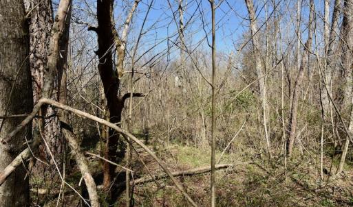 Photo #11 of SOLD property in Off Weavil Road, Winston Salem, NC 24.7 acres