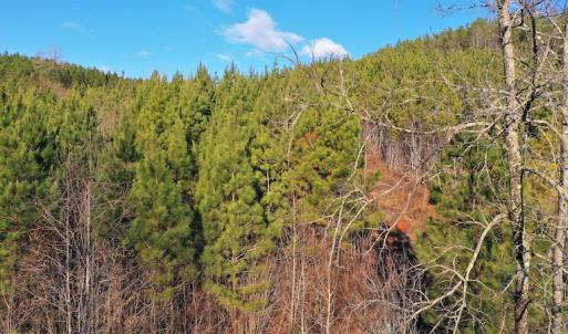 Photo #2 of SOLD property in 318 Crouse Mountain Ln, Lexington, NC 32.9 acres
