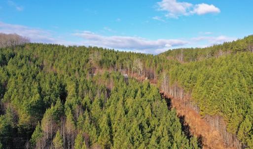 Photo #3 of SOLD property in 318 Crouse Mountain Ln, Lexington, NC 32.9 acres