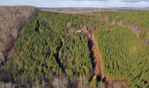 Photo #4 of SOLD property in 318 Crouse Mountain Ln, Lexington, NC 32.9 acres