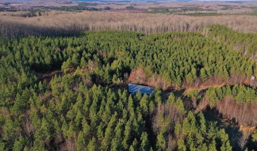Photo #6 of SOLD property in 318 Crouse Mountain Ln, Lexington, NC 32.9 acres
