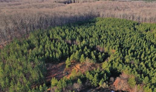 Photo #8 of SOLD property in 318 Crouse Mountain Ln, Lexington, NC 32.9 acres
