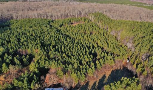 Photo #9 of SOLD property in 318 Crouse Mountain Ln, Lexington, NC 32.9 acres