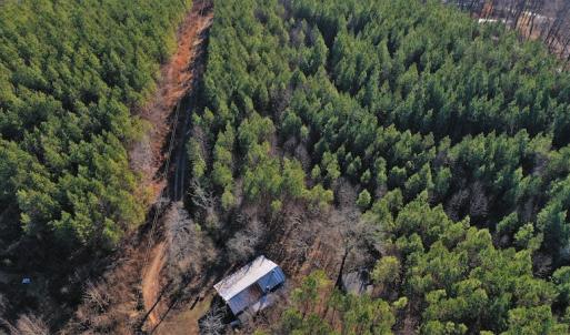 Photo #10 of SOLD property in 318 Crouse Mountain Ln, Lexington, NC 32.9 acres