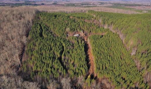 Photo #11 of SOLD property in 318 Crouse Mountain Ln, Lexington, NC 32.9 acres
