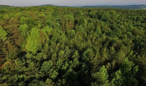Photo #2 of SOLD property in Off Surratt Road, Denton, NC 145.8 acres