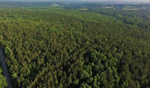 Photo #5 of SOLD property in Off Surratt Road, Denton, NC 145.8 acres