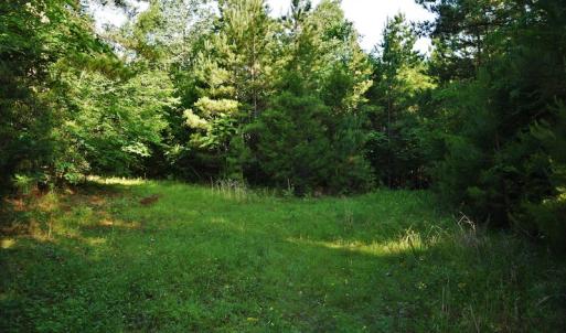 Photo #6 of SOLD property in Off Surratt Road, Denton, NC 145.8 acres