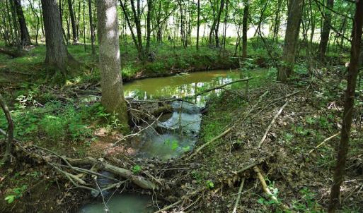 Photo #7 of SOLD property in Off Surratt Road, Denton, NC 145.8 acres