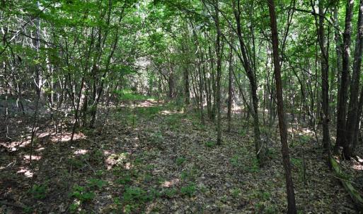 Photo #8 of SOLD property in Off Surratt Road, Denton, NC 145.8 acres