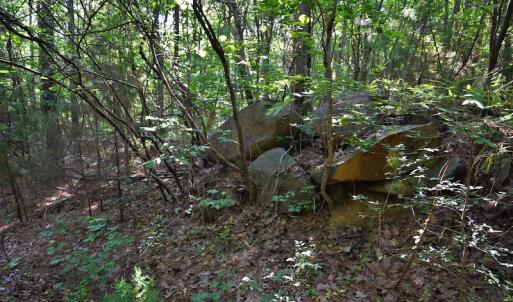 Photo #9 of SOLD property in Off Surratt Road, Denton, NC 145.8 acres